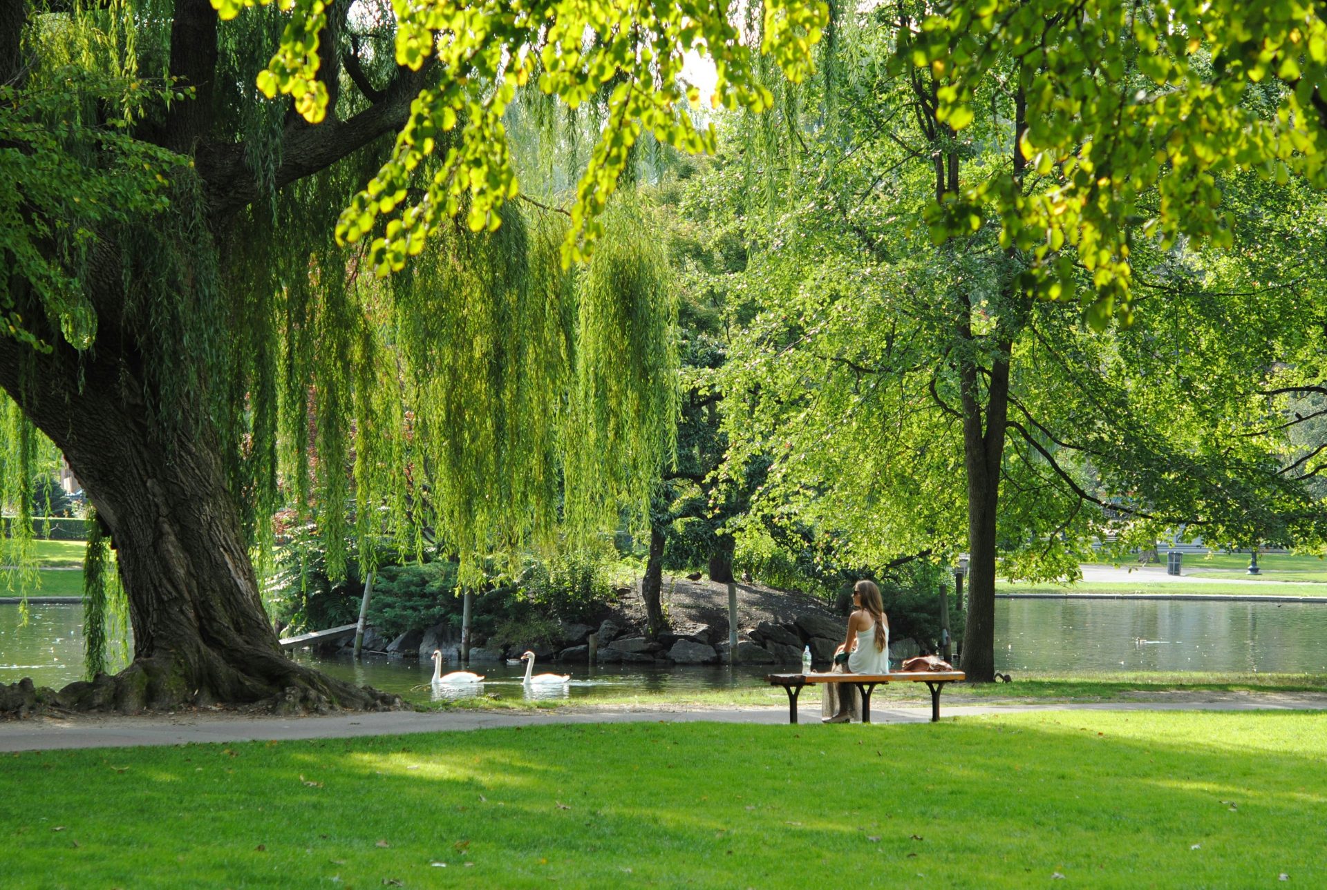 femme assise sur un banc